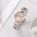 68ca8565e6a000.webp